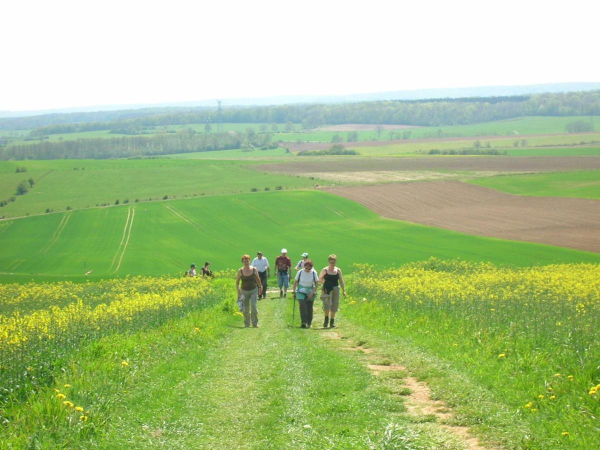 Gite La Volette Moulins-Saint-Hubert Kültér fotó
